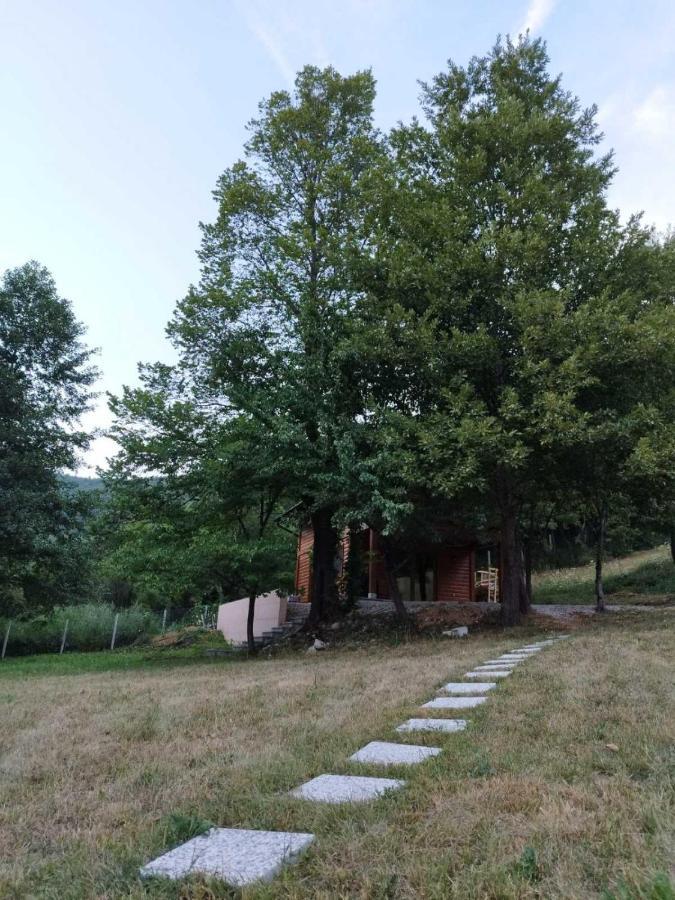 Kuca U Sumi - Forest House Near National Park Una - Air Spa Lohovo Bihac Luaran gambar