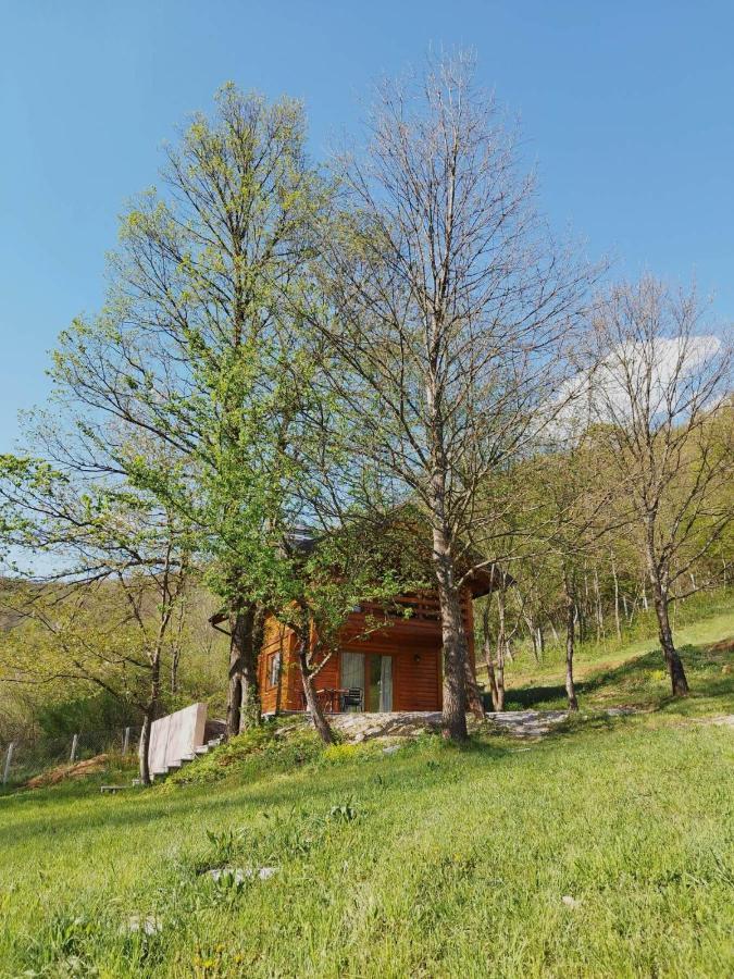Kuca U Sumi - Forest House Near National Park Una - Air Spa Lohovo Bihac Luaran gambar
