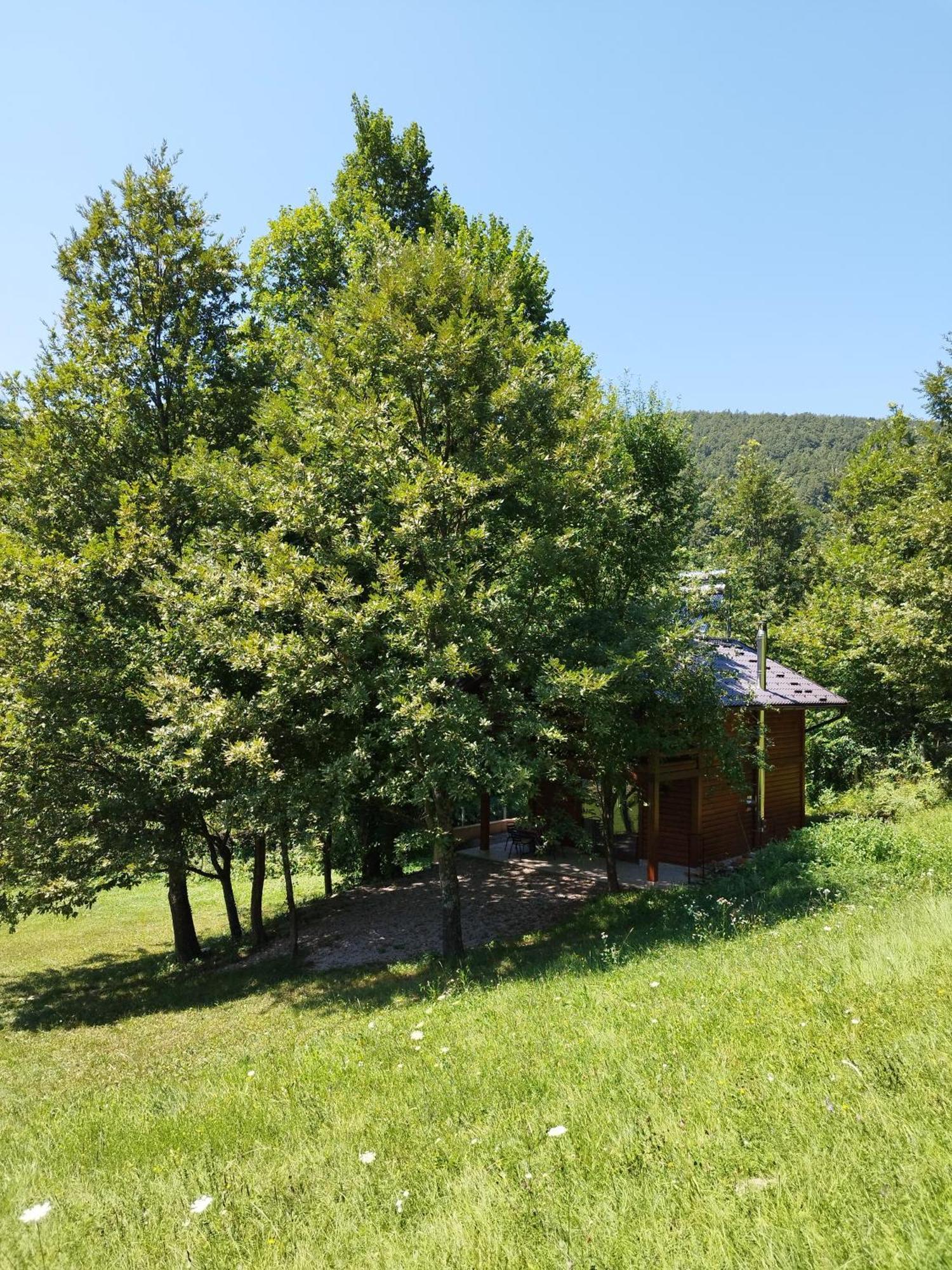 Kuca U Sumi - Forest House Near National Park Una - Air Spa Lohovo Bihac Luaran gambar